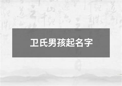 卫氏男孩起名字