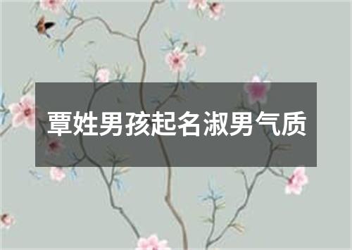 覃姓男孩起名淑男气质