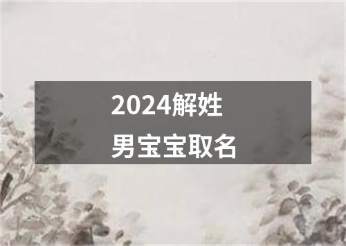 2024解姓男宝宝取名