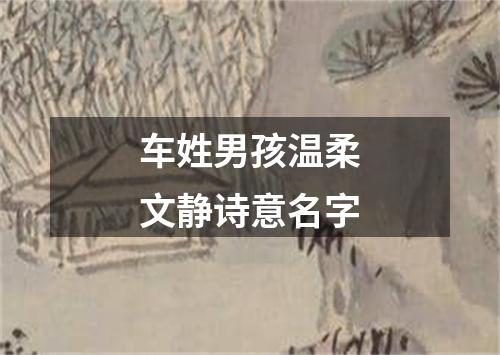 车姓男孩温柔文静诗意名字