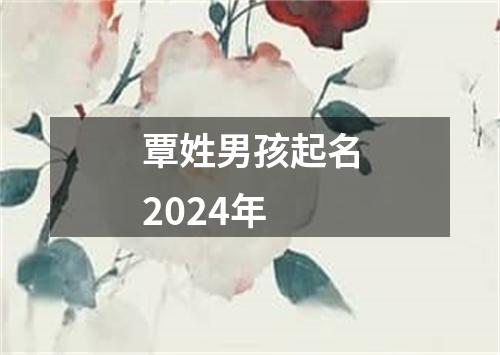 覃姓男孩起名2024年