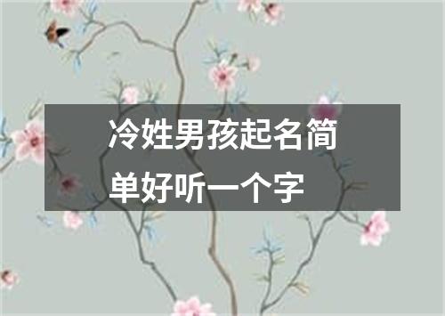 冷姓男孩起名简单好听一个字