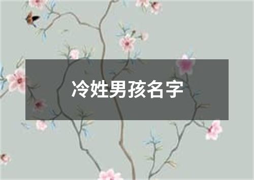 冷姓男孩名字