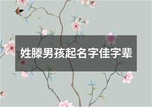 姓滕男孩起名字佳字辈