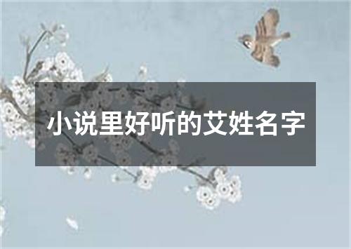 小说里好听的艾姓名字