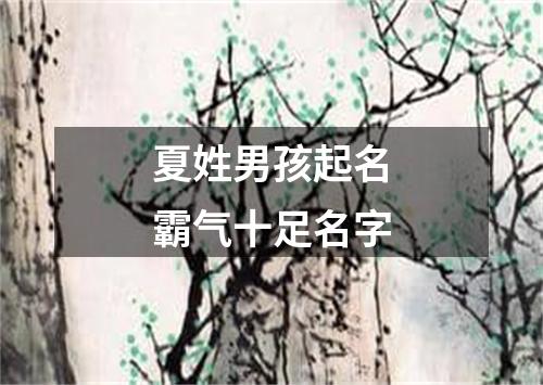 夏姓男孩起名霸气十足名字