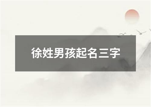 徐姓男孩起名三字