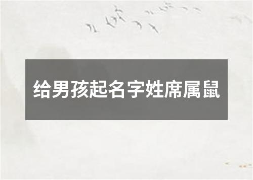 给男孩起名字姓席属鼠