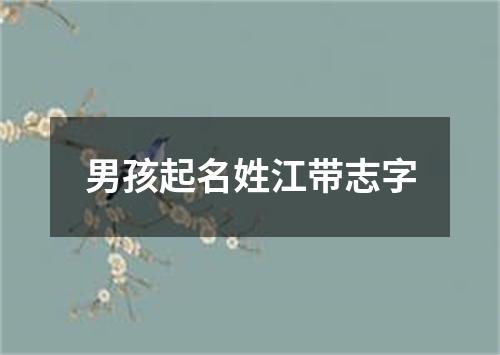 男孩起名姓江带志字