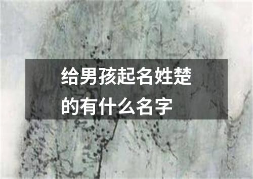 给男孩起名姓楚的有什么名字