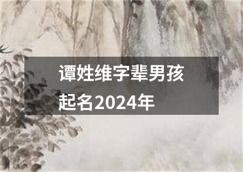 谭姓维字辈男孩起名2024年