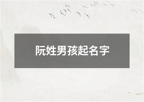 阮姓男孩起名字