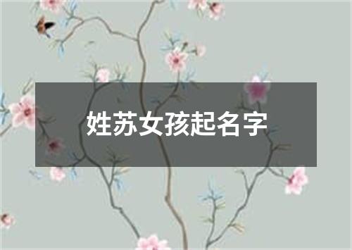 姓苏女孩起名字