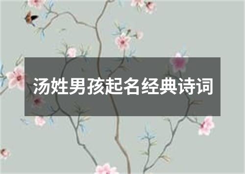 汤姓男孩起名经典诗词