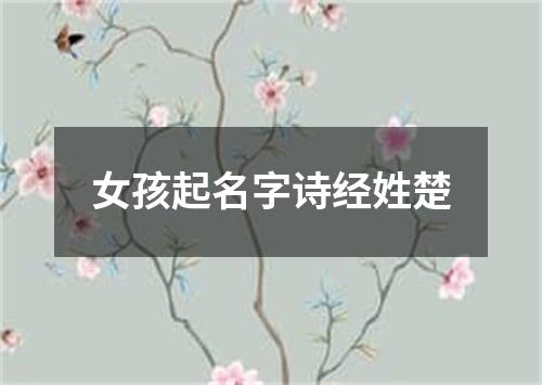 女孩起名字诗经姓楚