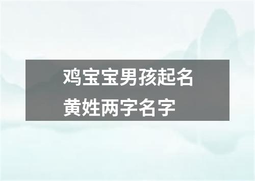 鸡宝宝男孩起名黄姓两字名字