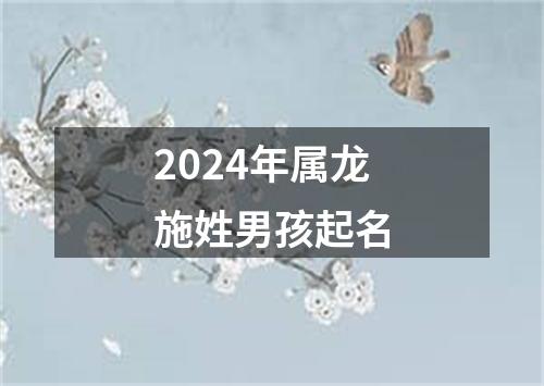 2024年属龙施姓男孩起名