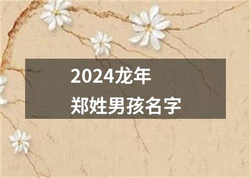 2024龙年郑姓男孩名字