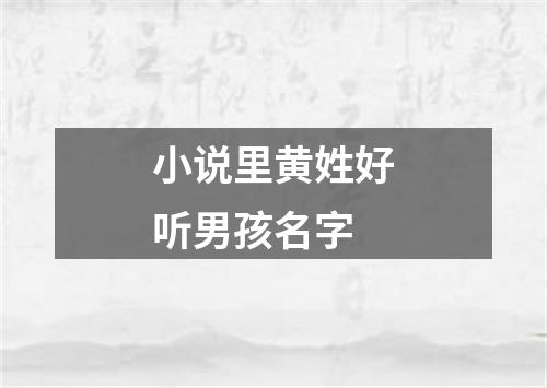 小说里黄姓好听男孩名字