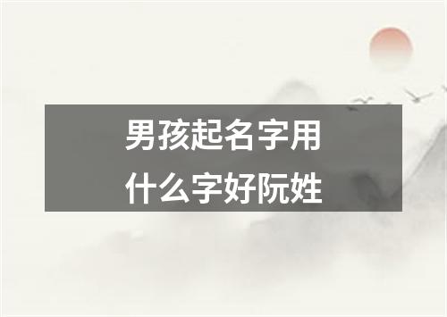 男孩起名字用什么字好阮姓