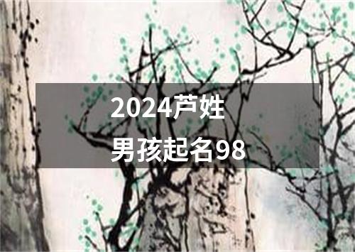 2024芦姓男孩起名98