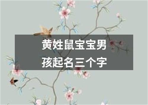 黄姓鼠宝宝男孩起名三个字