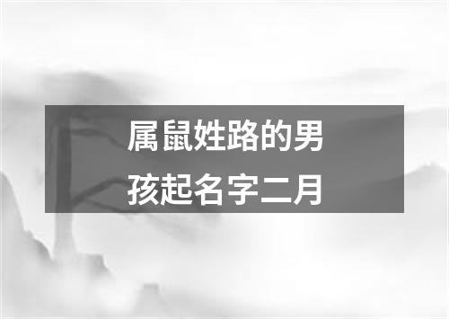 属鼠姓路的男孩起名字二月