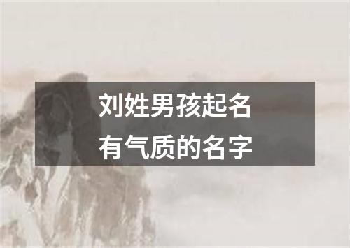 刘姓男孩起名有气质的名字