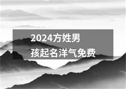 2024方姓男孩起名洋气免费