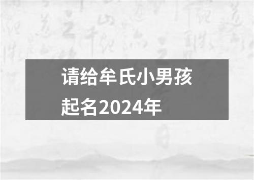 请给牟氏小男孩起名2024年