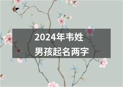 2024年韦姓男孩起名两字