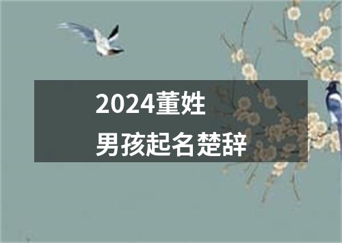 2024董姓男孩起名楚辞