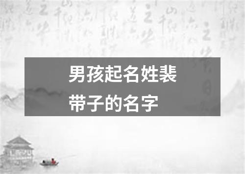 男孩起名姓裴带子的名字