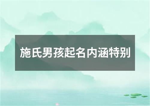 施氏男孩起名内涵特别