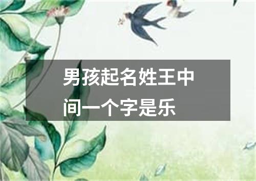 男孩起名姓王中间一个字是乐