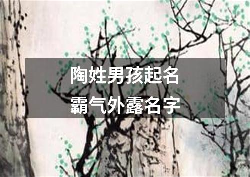 陶姓男孩起名霸气外露名字