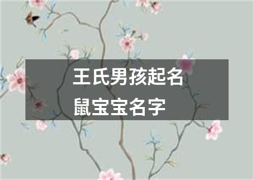 王氏男孩起名鼠宝宝名字