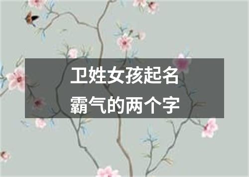 卫姓女孩起名霸气的两个字