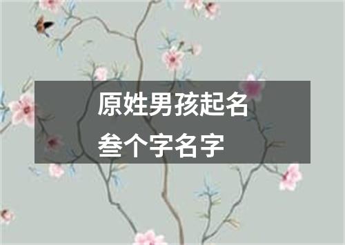 原姓男孩起名叁个字名字