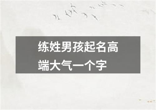 练姓男孩起名高端大气一个字