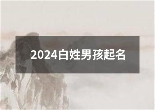 2024白姓男孩起名