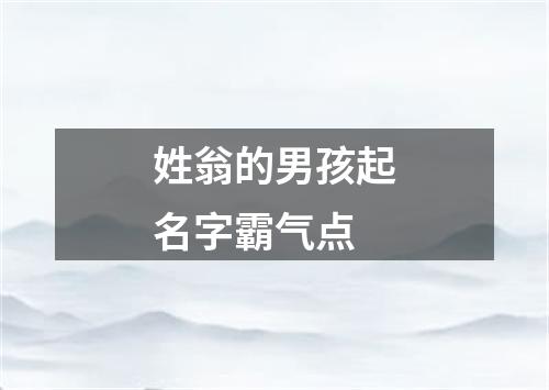 姓翁的男孩起名字霸气点