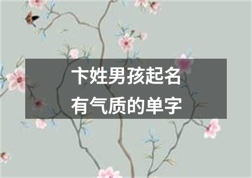 卞姓男孩起名有气质的单字