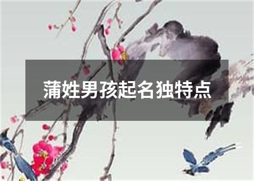 蒲姓男孩起名独特点