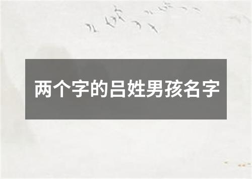 两个字的吕姓男孩名字