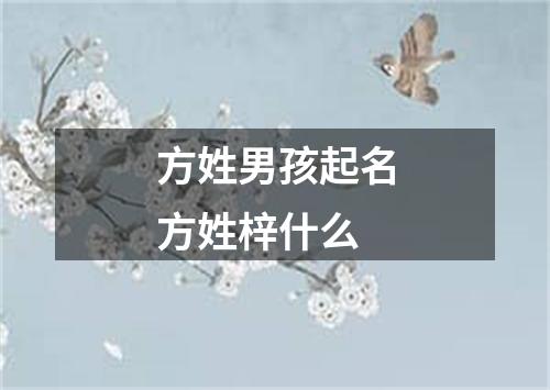 方姓男孩起名方姓梓什么