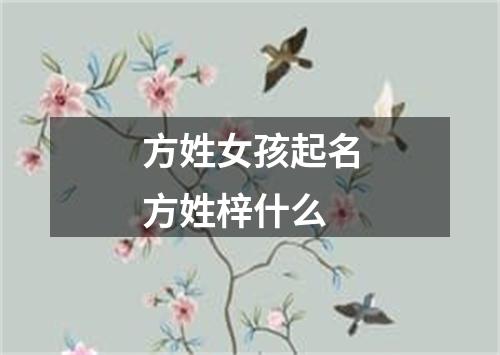 方姓女孩起名方姓梓什么