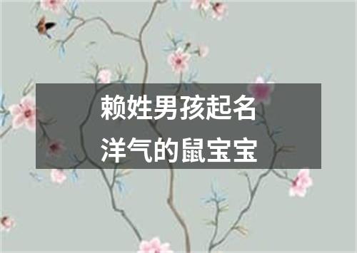 赖姓男孩起名洋气的鼠宝宝