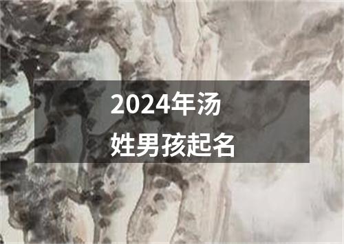 2024年汤姓男孩起名