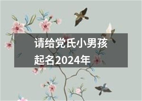 请给党氏小男孩起名2024年